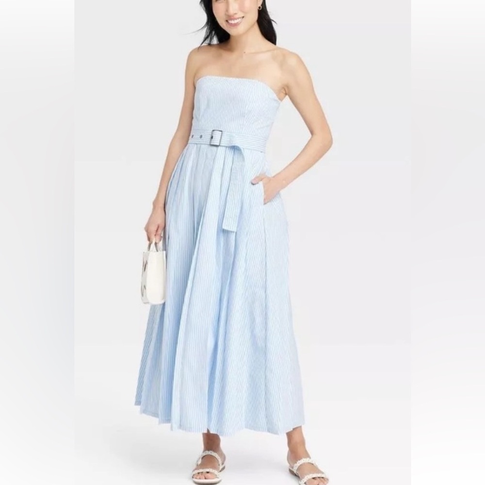 NWOT A New Day from Target Blue and White Dress